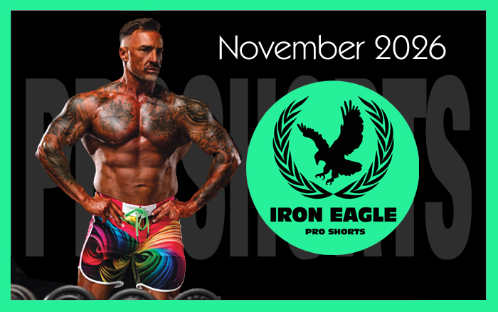 NEWSLETTER - NOVEMBER 2026